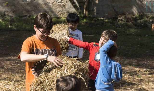 Cura della terra, riciclo e lezioni all'aria aperta: a Palombaio c' "l'asilo nel bosco"